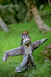 Village Scarecrow, Rice Fields, near Tegallalan, Bali, Indonesia | Obraz na stenu