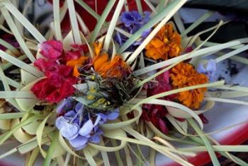 Flowers and Palm Ornaments, Offerings for Hindu Gods at Temple Ceremonies, Bali, Indonesia | Obraz na stenu