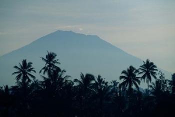 Bali, Volcano Gunung Agung, palm trees | Obraz na stenu