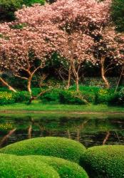 Reflecting Pond, Imperial Palace East Gardens, Tokyo, Japan | Obraz na stenu