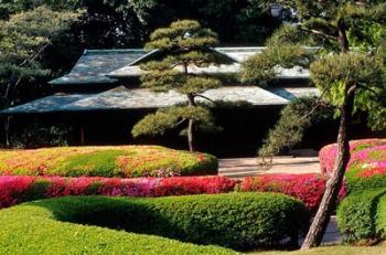 Azaleas at the Imperial Palace East Gardens, Tokyo, Japan | Obraz na stenu
