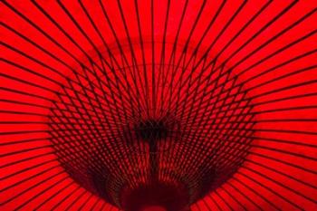 Red Umbrella, Gifu, Japan | Obraz na stenu
