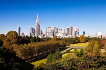 Japan Tokyo Shinjuku District, Shinjuku Gyoen Garden | Obraz na stenu