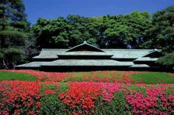 Imperial Palace, Tokyo, Japan | Obraz na stenu