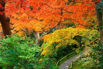 Okochi Sanso, Kyoto, Japan | Obraz na stenu