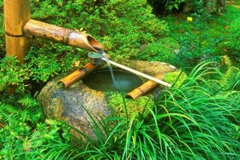 Spring for Tea Ceremony, Sanzen-in Temple, Kyoto, Japan | Obraz na stenu