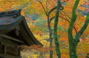 Kibune Shrine, Kyoto, Japan | Obraz na stenu