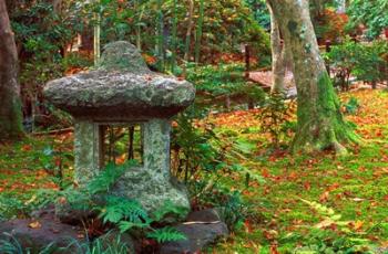 Giohji Temple, Kyoto, Japan | Obraz na stenu