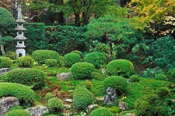 Sanzen-in Temple, Ohara, Kyoto, Japan | Obraz na stenu