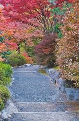 Tenryuji Temple Garden, Sagano, Arashiyama, Kyoto, Japan | Obraz na stenu