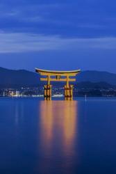 Twilight Floating Torii Gate, Itsukushima Shrine, Japan | Obraz na stenu