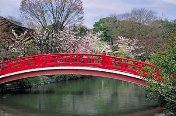 Spring Season, Kyoto, Japan | Obraz na stenu