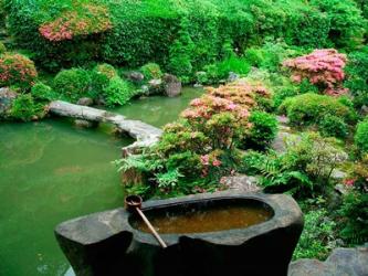 Green Zen Garden, Kyoto, Japan | Obraz na stenu