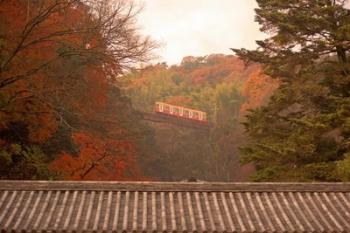 Fall Color around Cable Train Railway, Kyoto, Japan | Obraz na stenu