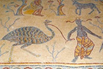 Mosaics, Moses Memorial Church, Mount Nebo, East Bank Plateau, Jordan | Obraz na stenu