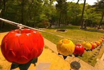 Lanterns, Haeinsa Temple Complex, Gayasan National Park, South Korea | Obraz na stenu