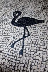 China, Macau Portuguese tile designs - flamingo, Senate Square | Obraz na stenu