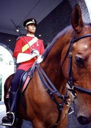 Malaysia, Kuala Lumpur: a mounted guard stands in front of the Royal Palace | Obraz na stenu