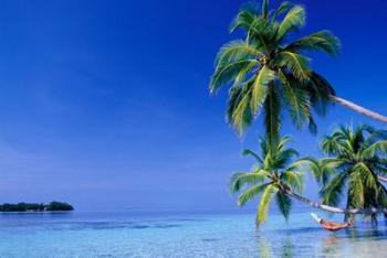 Maldives, Felidhu Atoll. Man relaxing in hammock | Obraz na stenu