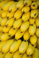 Oman, Dhofar Region, Salalah. Local bananas for Sale | Obraz na stenu