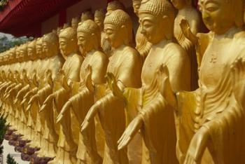 Taiwan, Foukuangshan Temple, Standing gold-colored Buddha statues at a Buddhist shrine | Obraz na stenu