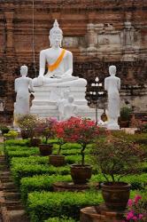 White Buddha, Wat Yai Chaya Mongkol or The Great Temple of Auspicious Victory, Ayutthaya, Thailand | Obraz na stenu