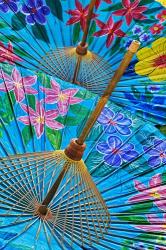 Decorative umbrellas, Chiang Mai, Thailand | Obraz na stenu