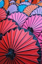 Pattern of newly assembled decorative umbrellas drying in sun, Umbrella Making Center, Bo Sang, near Chiang Mai, Thailand. | Obraz na stenu