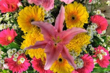 Thailand, Bangkok Close-up of flowers on display at market | Obraz na stenu