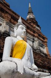 Close up of Buddha statue, Ayutthaya, Thailand | Obraz na stenu