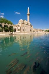 Halil-ur Rahman Mosque, Pool of Abraham, Urfa, Turkey | Obraz na stenu