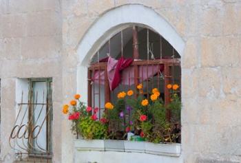 Windows and Flowers in Village, Cappadoccia, Turkey | Obraz na stenu