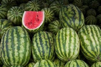UAE, Abu Dhabi Watermelon at the market | Obraz na stenu