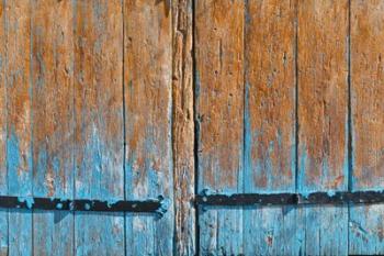 Painted Wooden Door | Obraz na stenu
