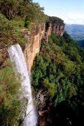Australia, New South Wales, Fitzroy Falls | Obraz na stenu