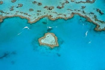 Australia, Whitsunday Islands, Heart Reef | Obraz na stenu