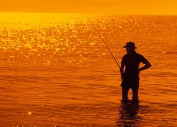 Fishing, Surfer's Paradise, Australia | Obraz na stenu