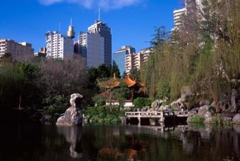 Chinese Garden, Darling Harbor, Sydney, Australia | Obraz na stenu