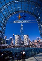 Darling Harbor, Sydney Harbor, Australia | Obraz na stenu