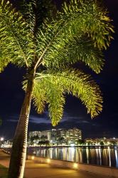 Cairns, waterfront at night, North Queensland, Australia | Obraz na stenu