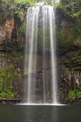 Millaa Millaa Falls, Queensland, Australia | Obraz na stenu