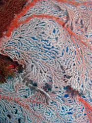 Fan Coral, Great Barrier Reef, Queensland, Australia | Obraz na stenu