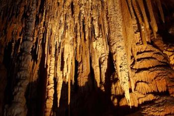 Stalactites, Newdegate Cave, Hastings Caves, Australia | Obraz na stenu