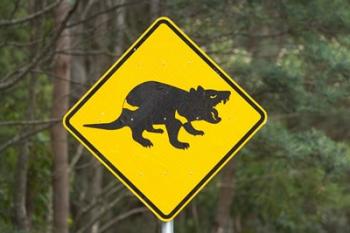 Tasmanian Devil warning sign, Tasman Peninsula, Australia | Obraz na stenu