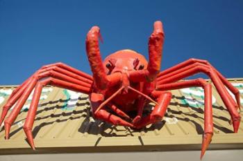 Crustacean, Giant Lobster, Stanley, Tasmania, Australia | Obraz na stenu