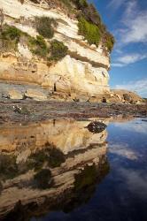 Cliffs of Fossil Bluff, Wynyard, NW Tasmania, Australia | Obraz na stenu