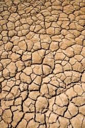 Dry Irrigation Pond, Strzelecki Track, Outback, South Australia, Australia | Obraz na stenu