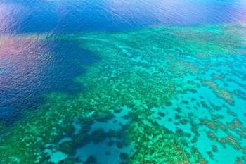 Aerial view of the Great Barrier Reef, Queensland, Australia | Obraz na stenu