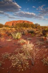 Australia, Uluru-Kata Tjuta NP, Red desert, Ayers Rock | Obraz na stenu