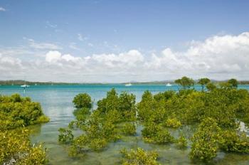 Australia, Queensland, Town of 1770, Bustard Bay | Obraz na stenu